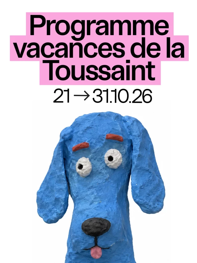 toussaint-magasin-centre-national-dart-contemporain